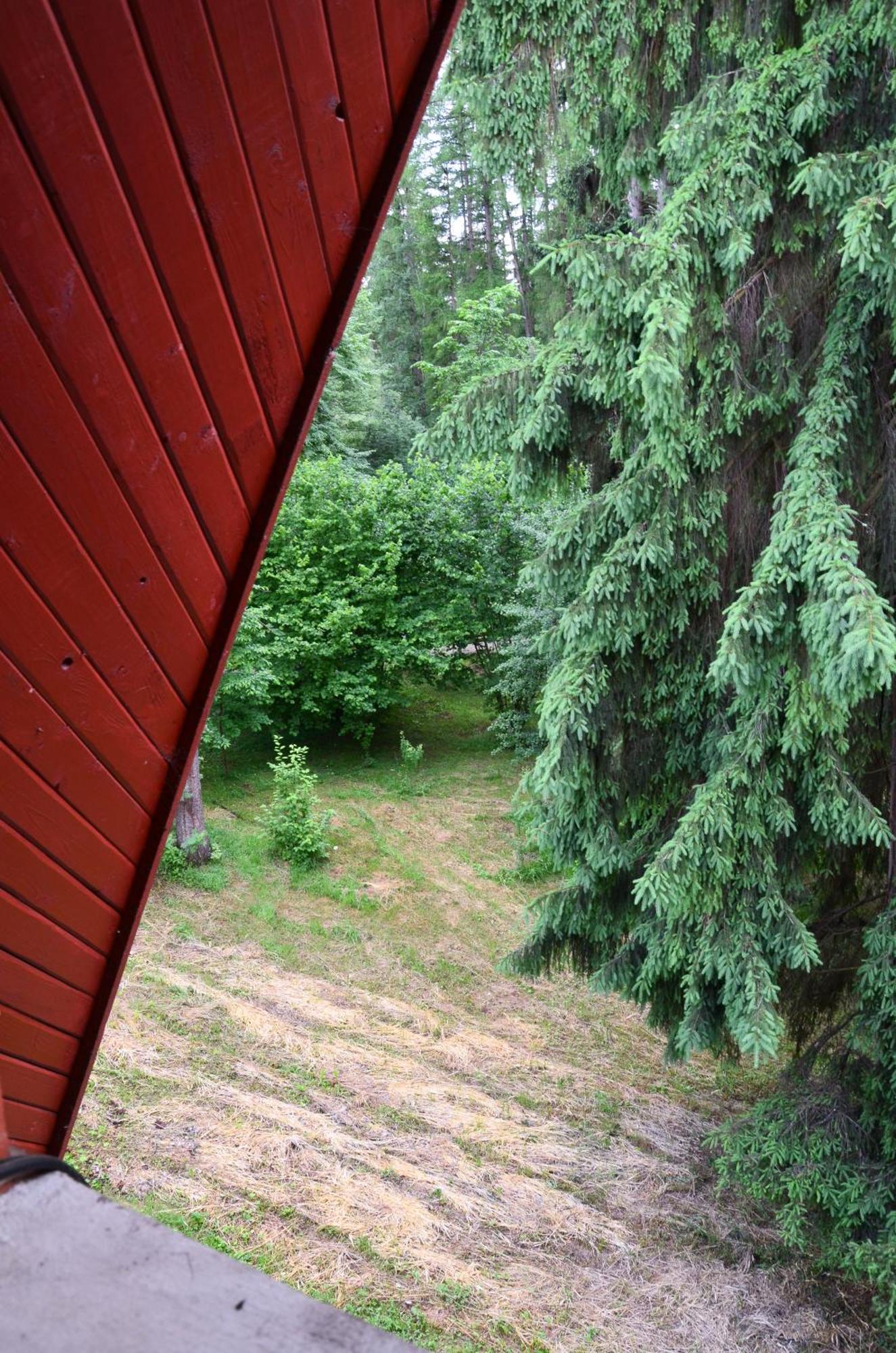 Pensiunea Happy Inn Vatra Dornei Oda fotoğraf
